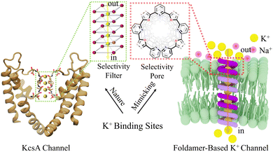 image file: d5sc08786d-f1.tif