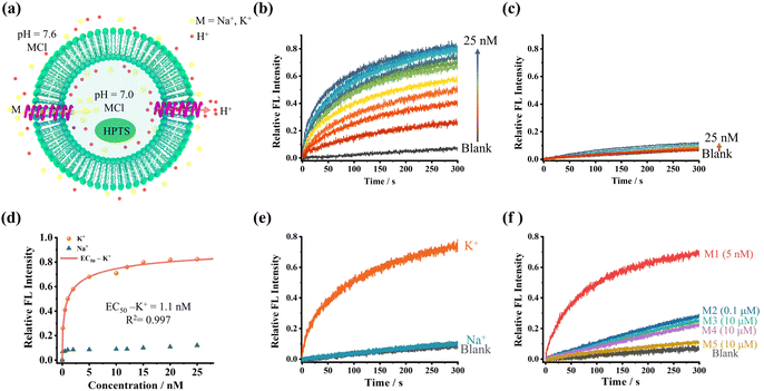 image file: d5sc08786d-f4.tif