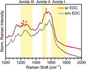image file: d5sc08787b-f5.tif