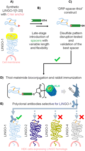 image file: d5sc08821f-s2.tif