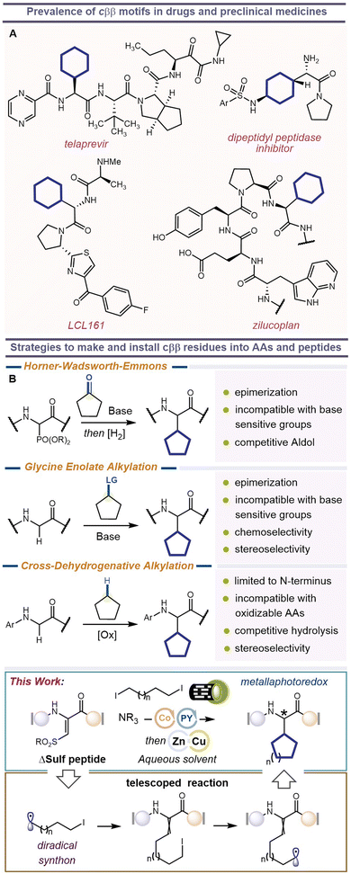 image file: d5sc08845c-f1.tif