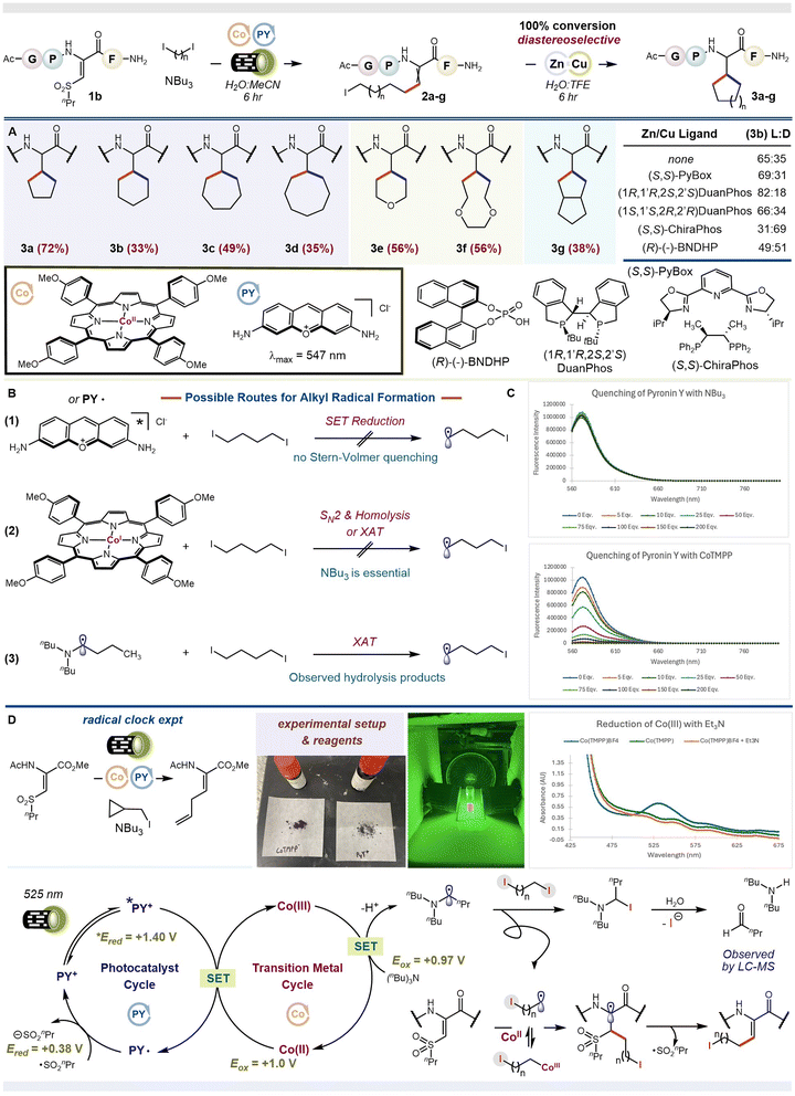 image file: d5sc08845c-f2.tif