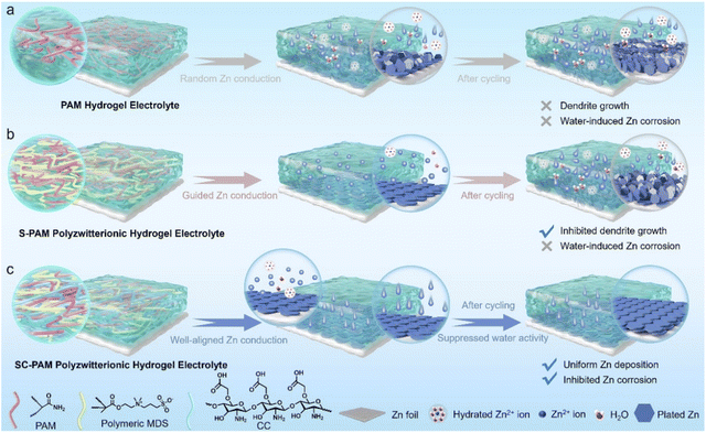 image file: d5sc08853d-f1.tif