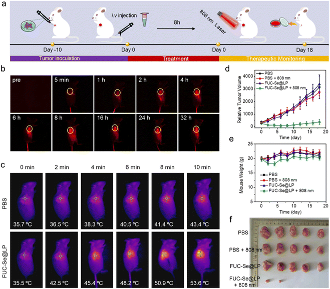 image file: d5sc08871b-f6.tif