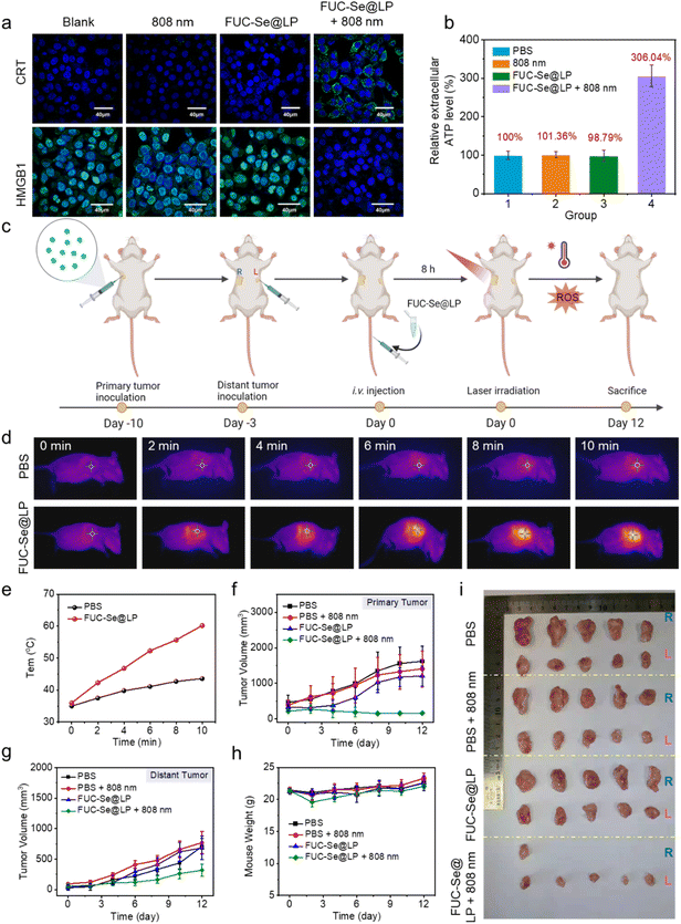 image file: d5sc08871b-f7.tif