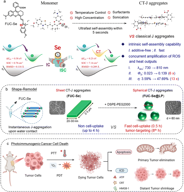 image file: d5sc08871b-s1.tif