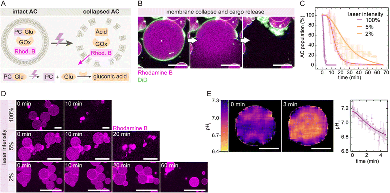 image file: d5sc08882h-f3.tif