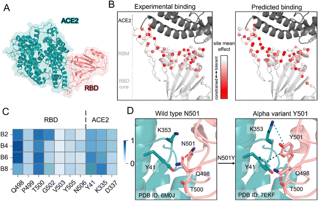 image file: d5sc08898d-f4.tif
