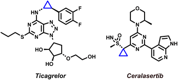 image file: d5sc08940a-f1.tif