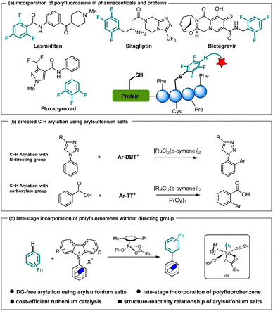 image file: d5sc08962j-s1.tif