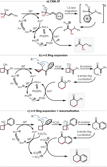 image file: d5sc08977h-s8.tif