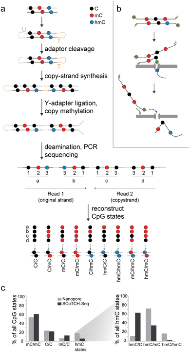 image file: d5sc09022a-f3.tif