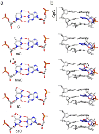 image file: d5sc09022a-f4.tif