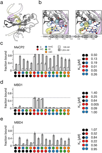image file: d5sc09022a-f5.tif
