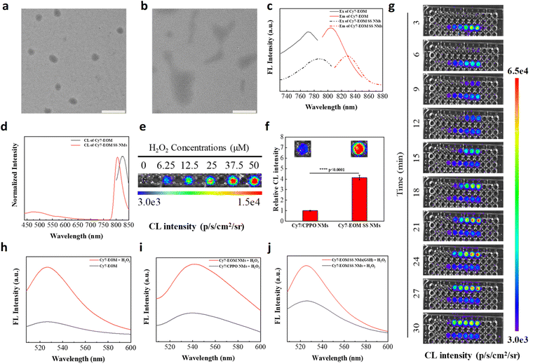 image file: d5sc09043a-f2.tif