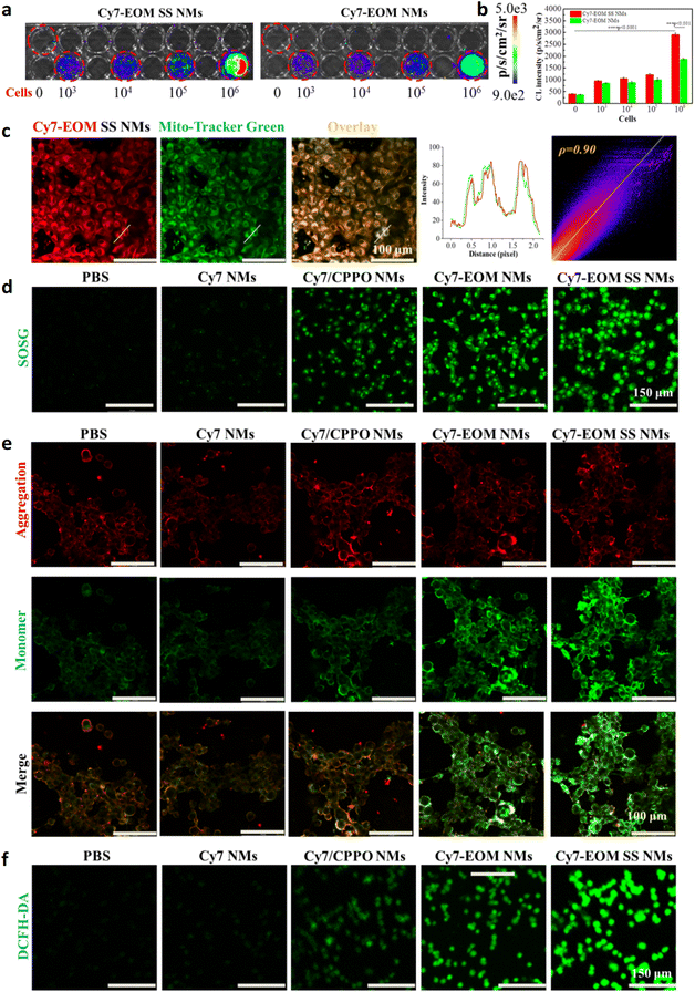 image file: d5sc09043a-f3.tif