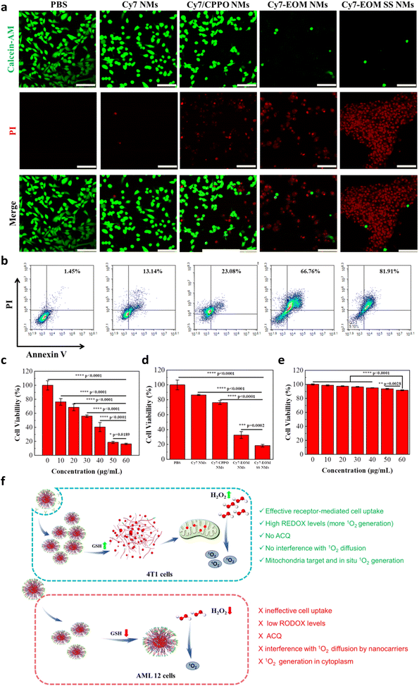 image file: d5sc09043a-f4.tif