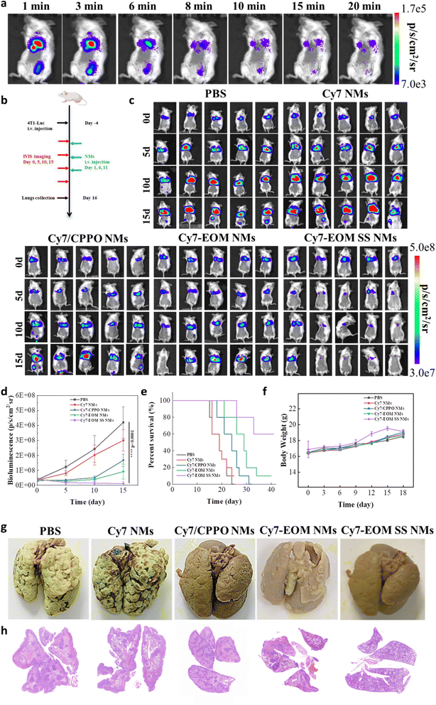 image file: d5sc09043a-f5.tif