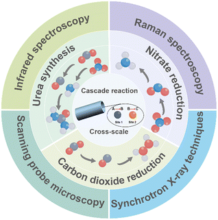 image file: d5sc09063f-f1.tif