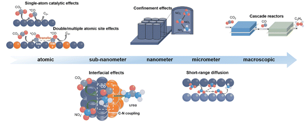 image file: d5sc09063f-f2.tif