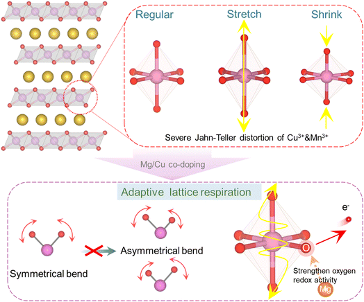 image file: d5sc09077f-f1.tif