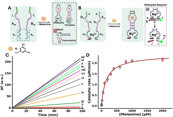 image file: d5sc09098a-f1.tif