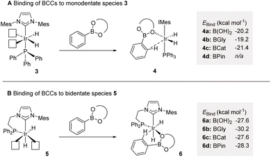 image file: d5sc09113f-s2.tif