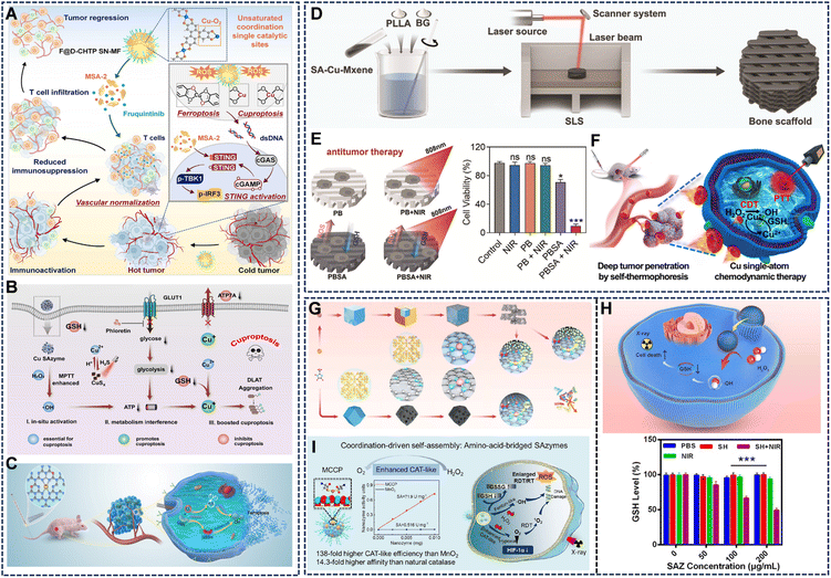 image file: d5sc09147k-f10.tif