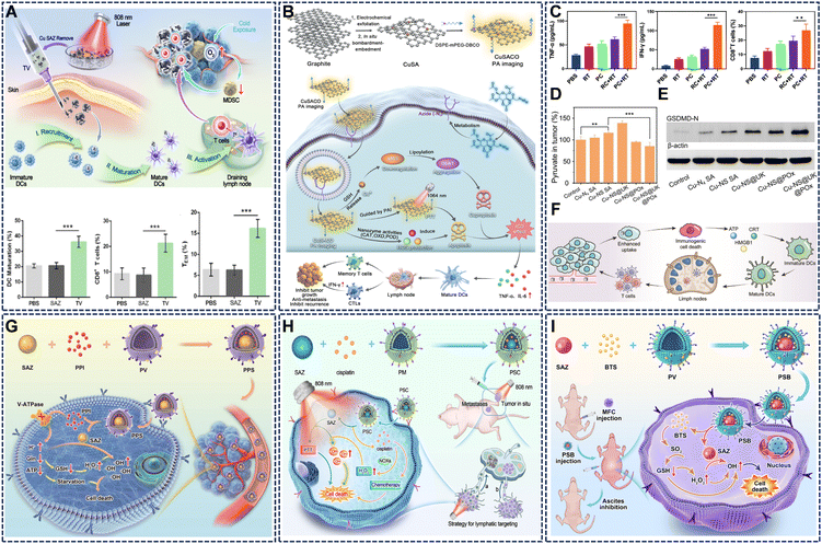 image file: d5sc09147k-f11.tif