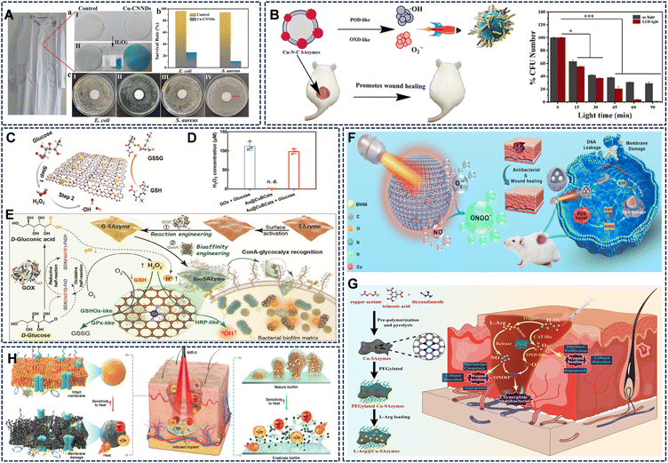 image file: d5sc09147k-f9.tif