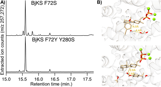 image file: d5sc09199c-f1.tif