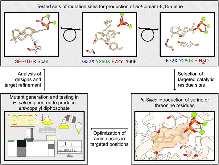image file: d5sc09199c-f2.tif