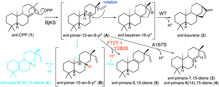 image file: d5sc09199c-s1.tif
