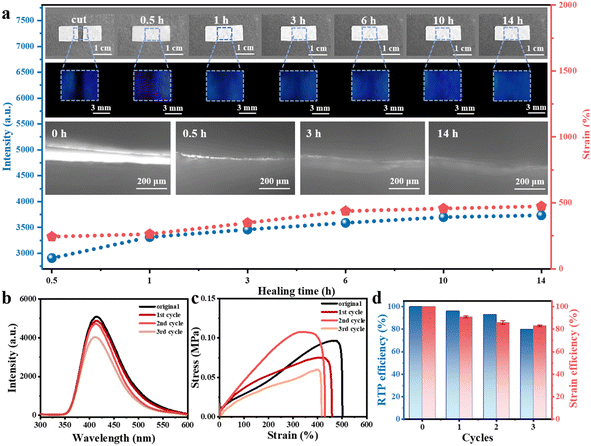 image file: d5sc09282e-f2.tif