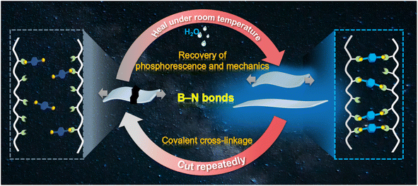 image file: d5sc09282e-s1.tif