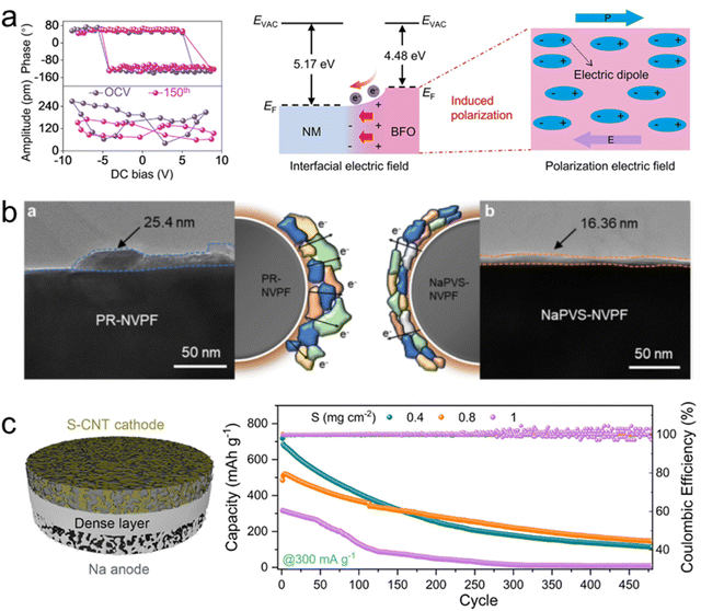 image file: d5sc09313a-f10.tif
