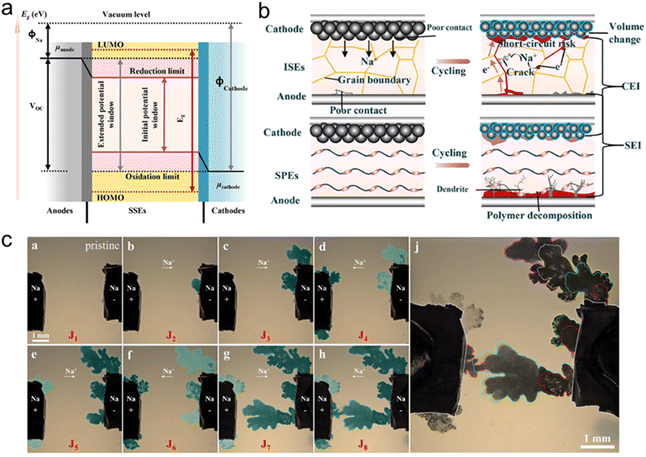 image file: d5sc09313a-f4.tif