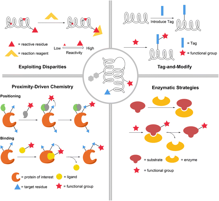 image file: d5sc09331g-f1.tif