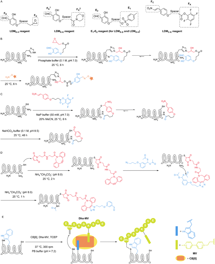 image file: d5sc09331g-f10.tif
