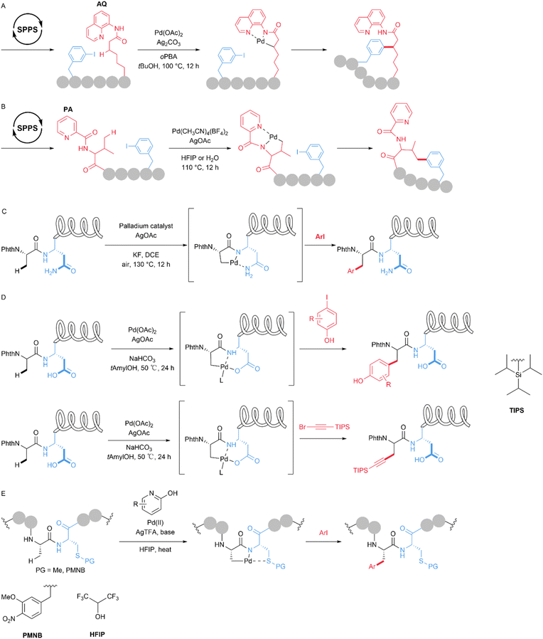 image file: d5sc09331g-f11.tif