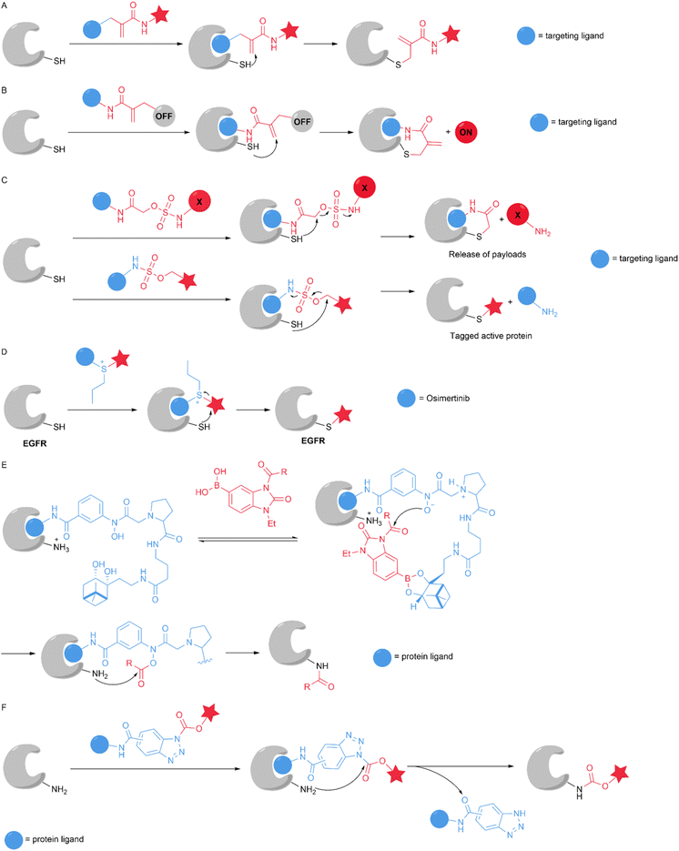 image file: d5sc09331g-f12.tif