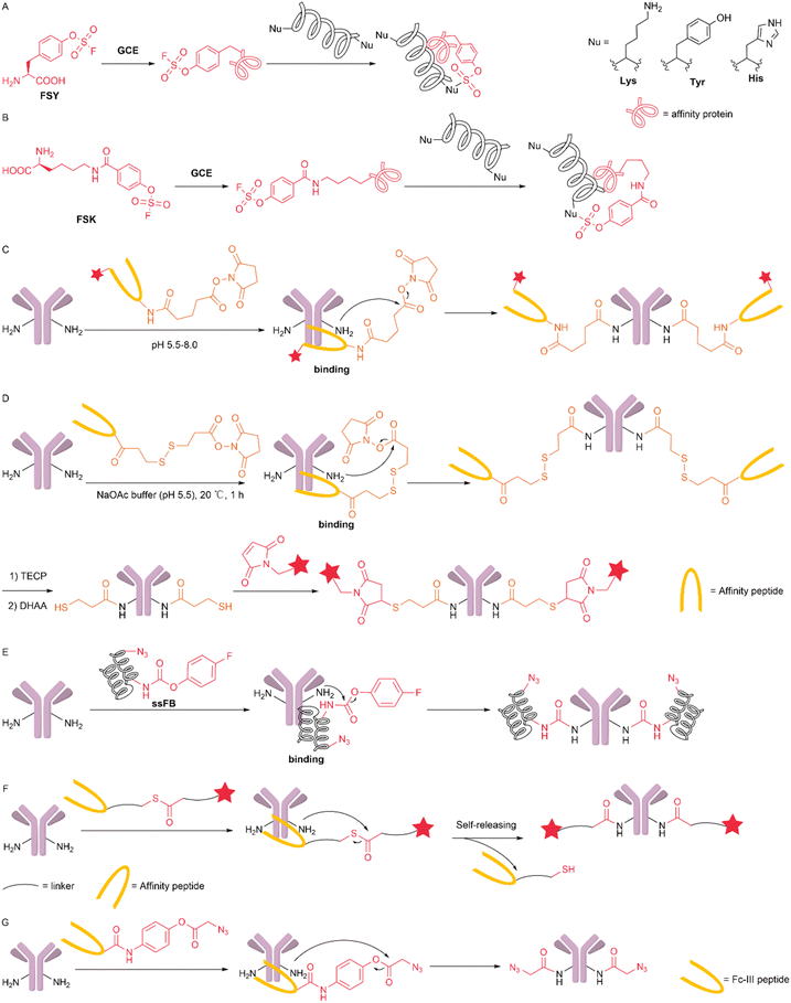 image file: d5sc09331g-f13.tif