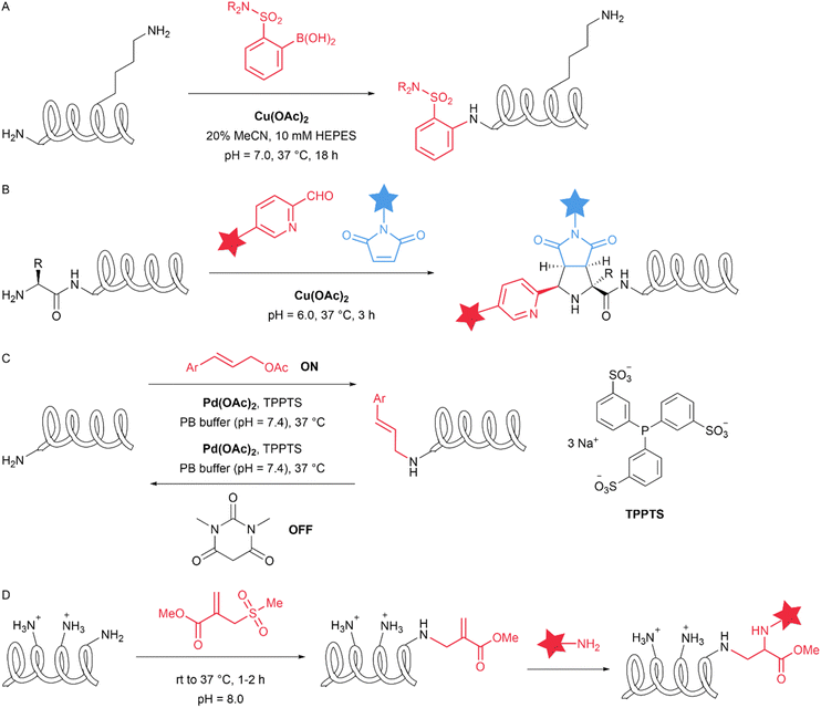 image file: d5sc09331g-f2.tif