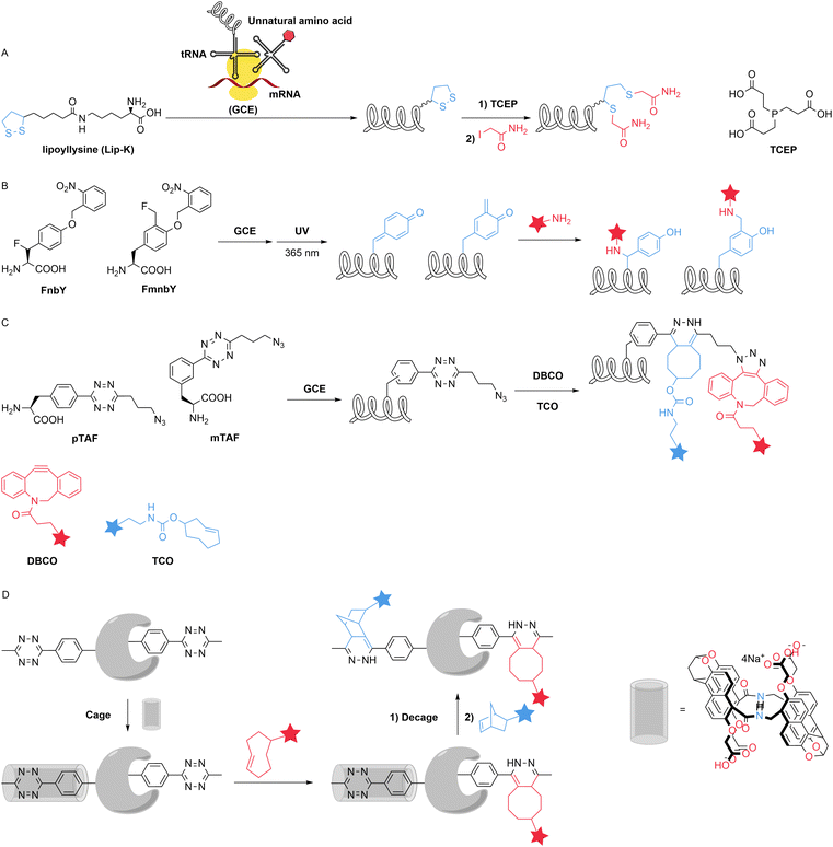 image file: d5sc09331g-f8.tif