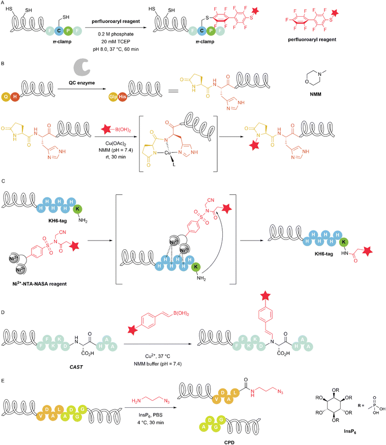image file: d5sc09331g-f9.tif