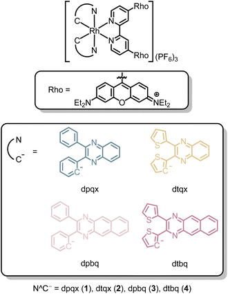 image file: d5sc09339b-c1.tif