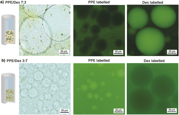 image file: d5sc09406b-f2.tif