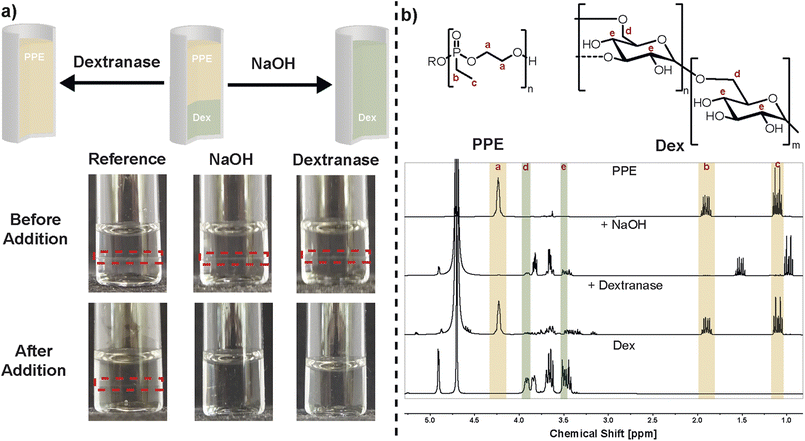 image file: d5sc09406b-f3.tif