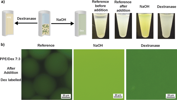 image file: d5sc09406b-f5.tif