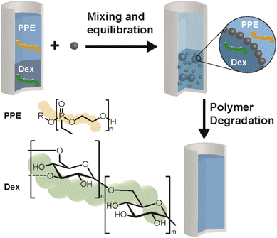 image file: d5sc09406b-s1.tif